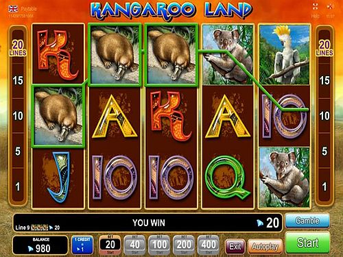 kangaroo-land1