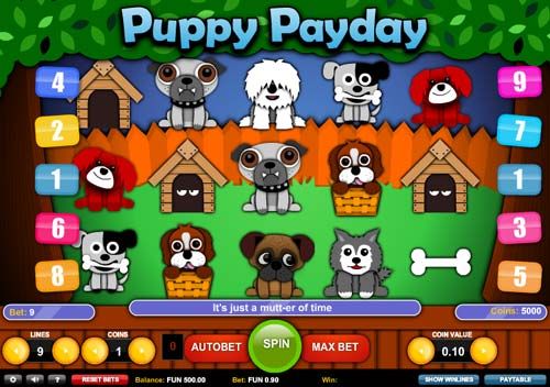puppy-payday1