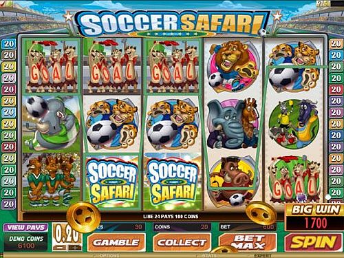 soccer-safari1