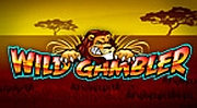 Wild Gambler im Casino Euro